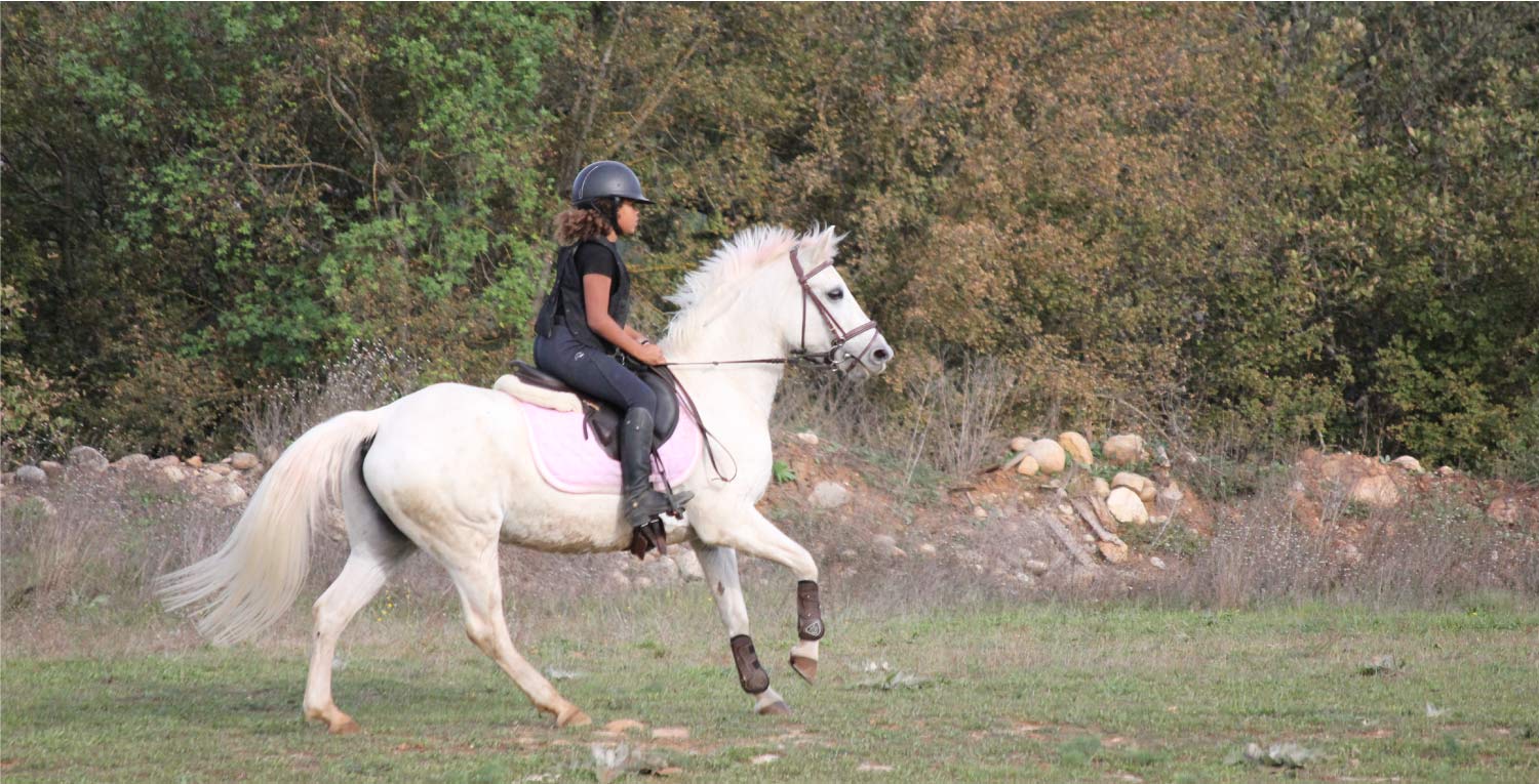 communication équestre stratégie digital cavalier