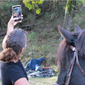 réseaux sociaux équestre hippique