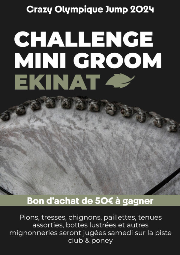 affiche challenge équestre skiant marque