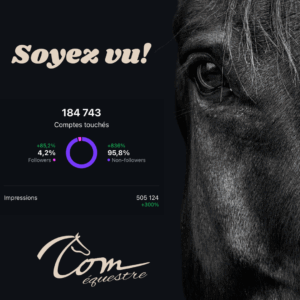 boost ads instagram Facebook meta linkedin équitation