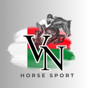 stratégie digitale cavalier pro international réseaux sociaux