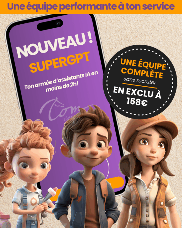 formation ia pour TPE PME sellerie en ligne