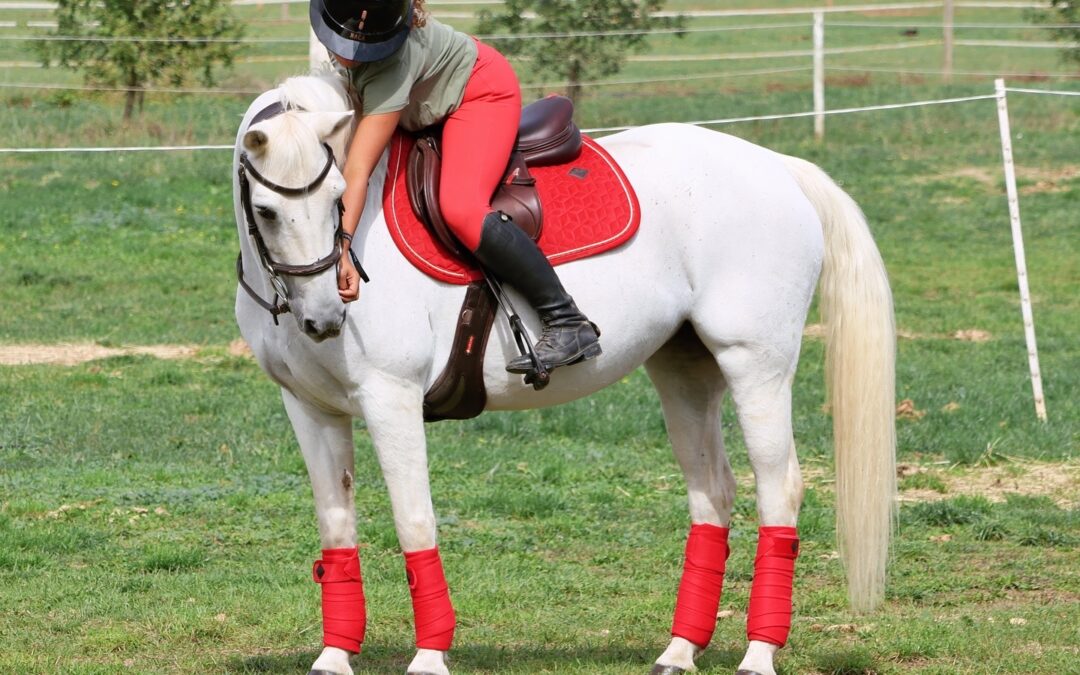 Comprendre la recherche locale des touristes pour mieux remplir ses activités équestres