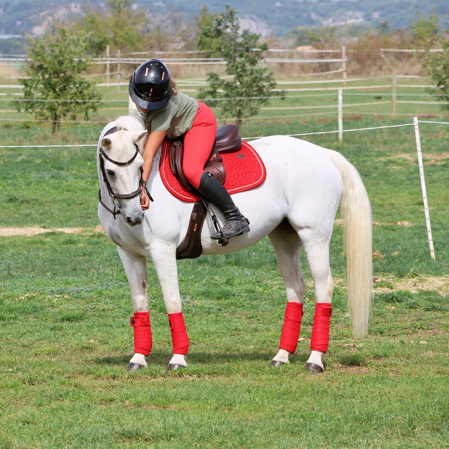 campagne ads hautes alpes centre equestre