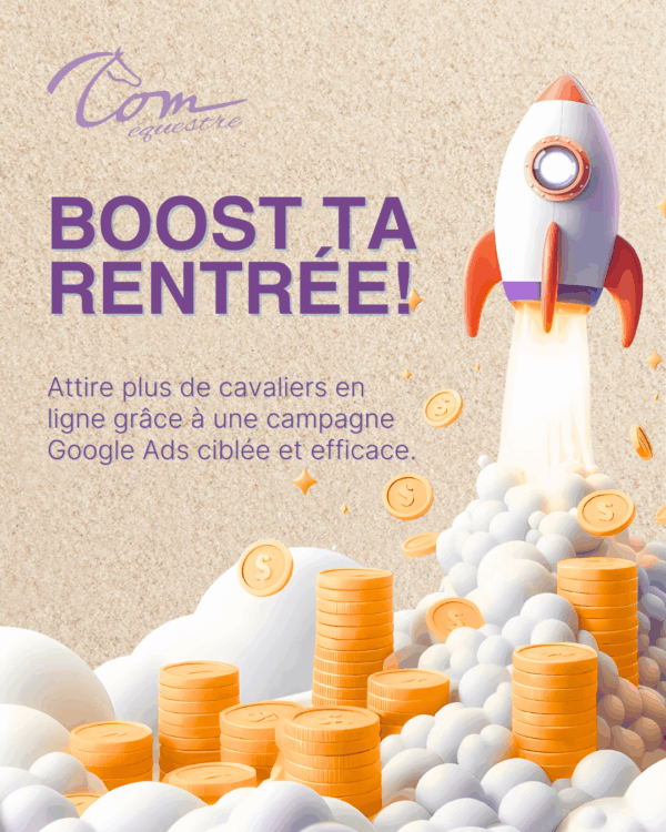 campagne ads sellerie en ligne équestre marketing