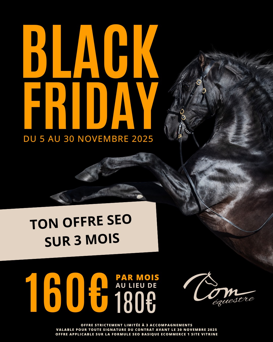 referencement naturel agence équitation