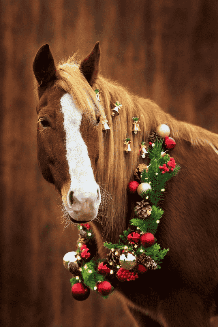 cadeau de noel cavalier réussir ses vents