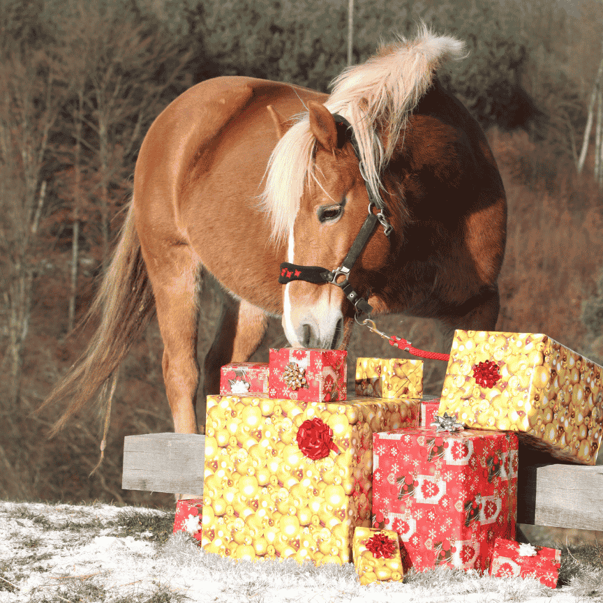 stratégie ventes en ligne noel cadeau sellerie 