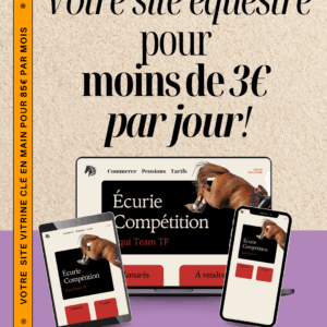 site vitrine équestre SEO pas cher mensuel
