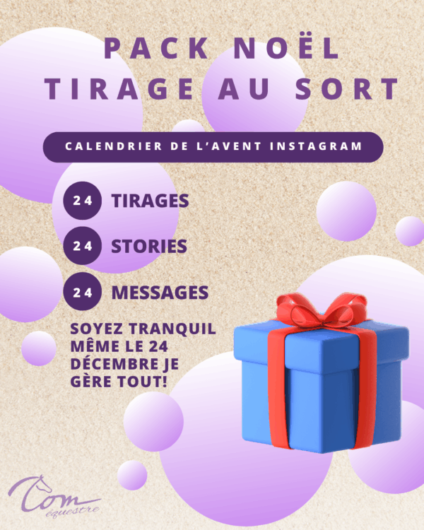 calendrier de l'avent sellerie instagram organisation