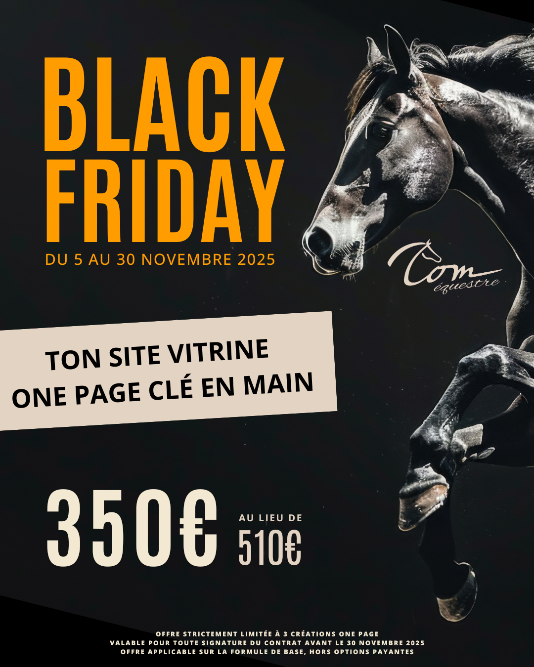 promo Black Friday equitation site centre equestre