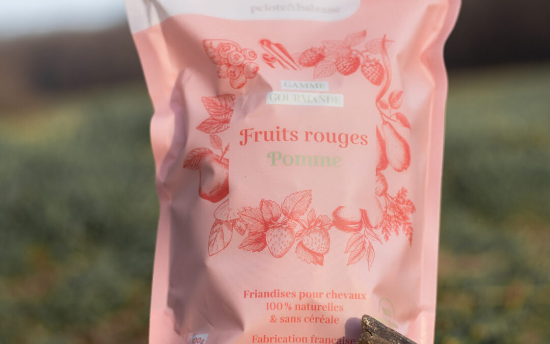Marché des Friandises pour Chevaux en 2026 : tendances, chiffres clés et stratégies marketing pour se démarquer