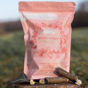marque de friandises pour chevaux marketing conseil