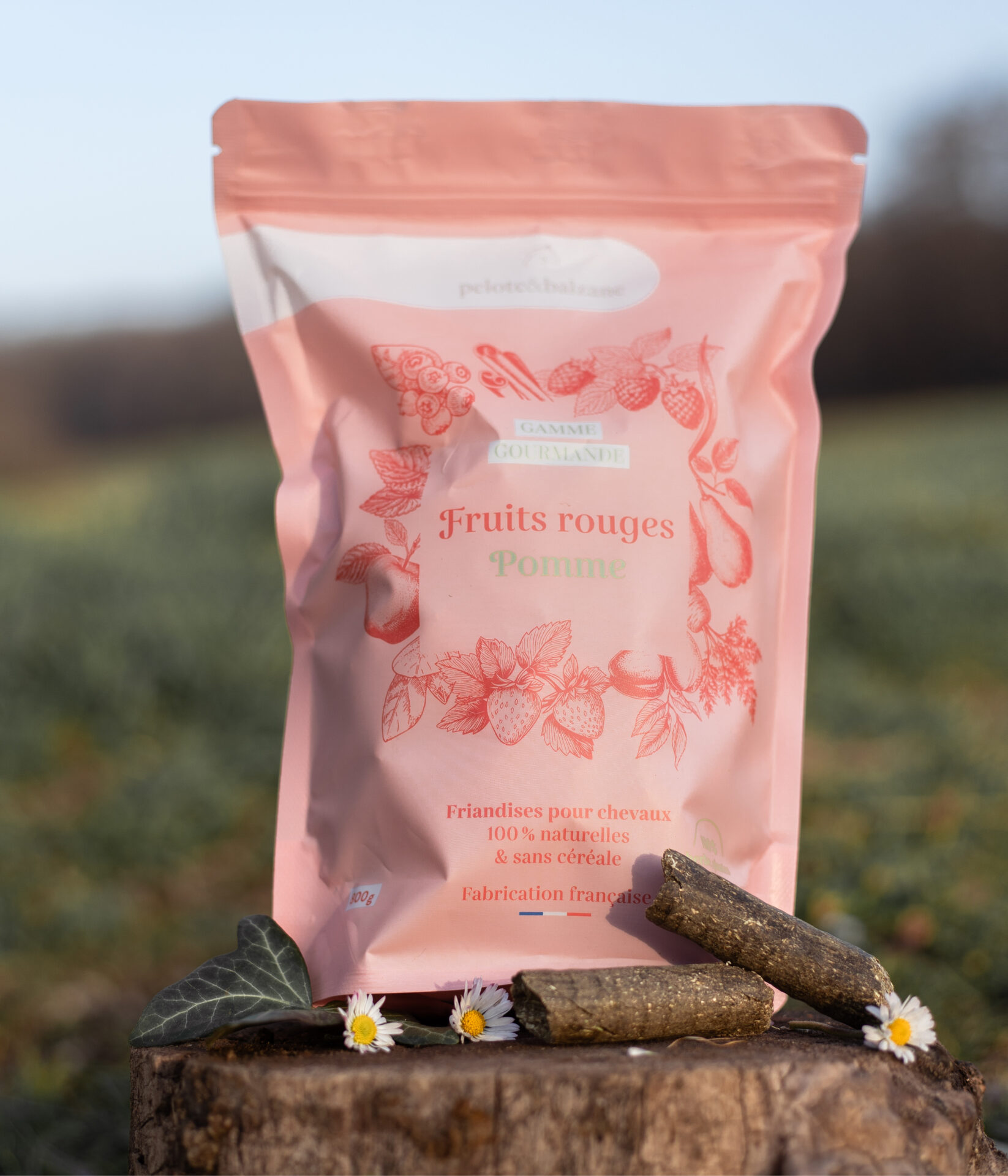 marque de friandises pour chevaux marketing conseil