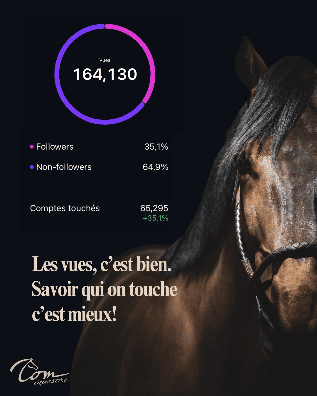 pilotage résultats et visibilité instagram sellerie
