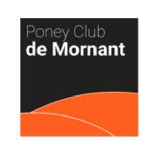 poney cub de mornant site internet poney club de mornant création de site internet équestre