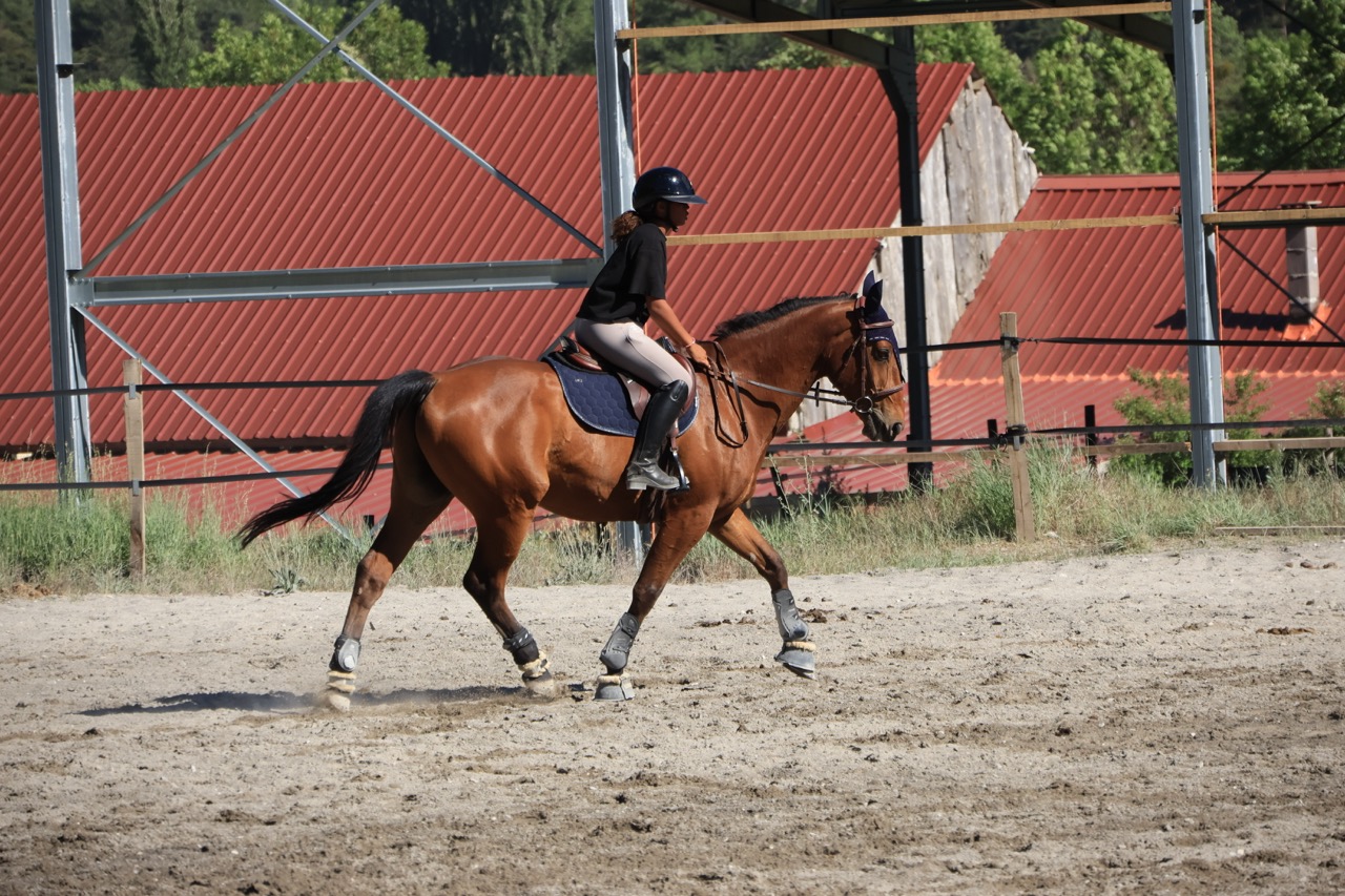 je veux remplir mes cours d'équitation