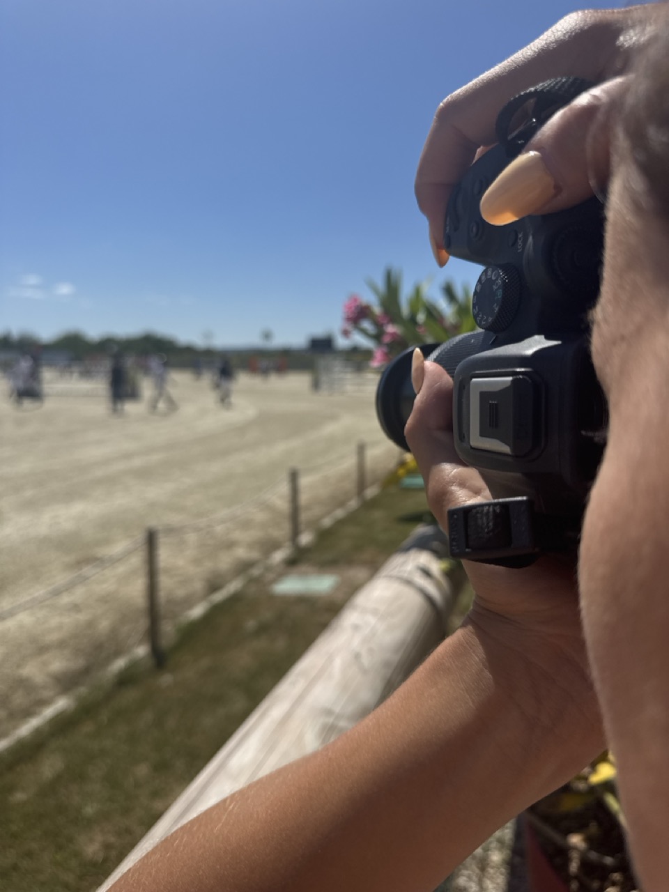 videaste equestre alpes rhone 